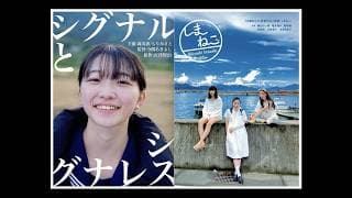 「シグナルとシグナレス」「しまねこ」公開告知