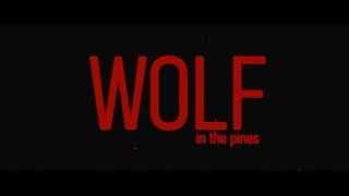 Wolf In The Pines