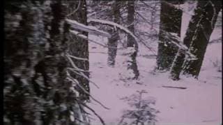 AMERICAN EXPERIENCE: The Donner Party Preview
