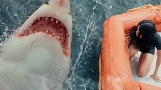 Great White - Official Trailer [HD] | A Shudder Exclusive