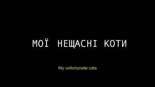 Мої нещасні коти (тизер)/ My unfortunate cats (teaser)