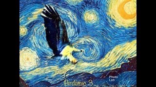 Birdemic 3 - Teaser Trailer #1