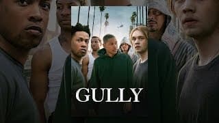 Gully