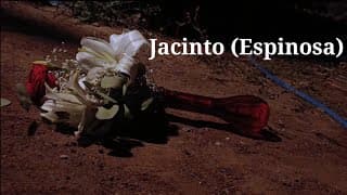 Jacinto (Espinosa)
