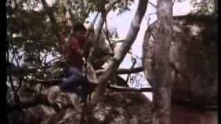 My African Adventure / Going Bananas trailer  (Cannon Films)