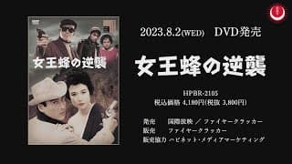 女王蜂の逆襲PV