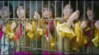 Trailer - เก๋า ... เก๋า (The Possible)