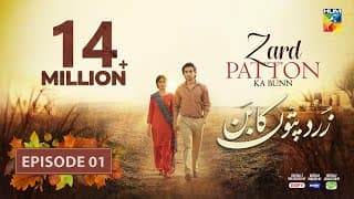 Zard Patton Ka Bunn - Episode 01 [CC] - 12 May 24 - Mothercare, Master Paints & Jhalak Beauty Cream
