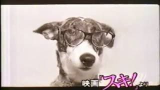 水野晴郎 解説 君は僕をスキになる