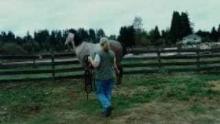 Zoo 2007 Trailer