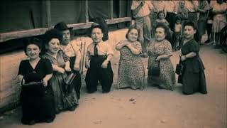 Warwick Davis and the Seven Dwarfs of Auschwitz - Trailer