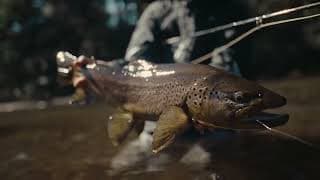 AFTER YOU'VE GONE Trailer- Official Selection: 2023 Rise Fly Fishing Film Tour