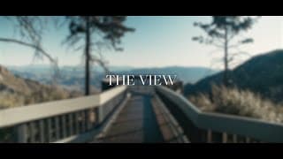 The View