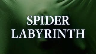SPIDER LABYRINTH (1988) TRAILER