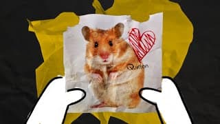A hamster named Quinton - Animated short