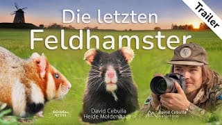 Die letzten Feldhamster | Eine Bedrohte Art | Offizieller Trailer | Deutsch (2025) [4K]