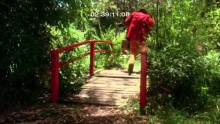 GINGER MEGGS WEB TRAILER