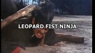 LEOPARD FIST NINJA