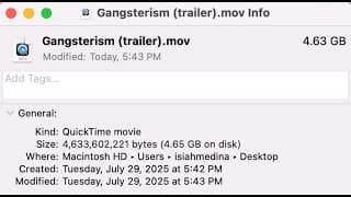 Gangsterism (trailer)
