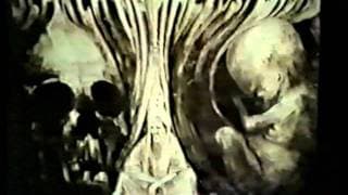 The Peters Brothers - Truth About Rock