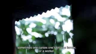 QUIJOTE Trailer Oficial