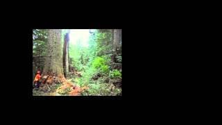 Totem (2014) [Trailer]