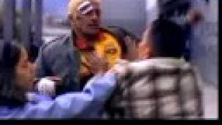 " Ratas, ratones, rateros " - Trailer