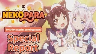 TV Animation NEKOPARA　Special Report（English）