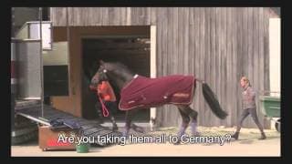 Of Women and Horses / Sport de filles (2012) - Promo reel ENG SUBS