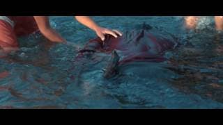 El Silencio del Río (Trailer) - Categoría: Colombia #IndieBo2016