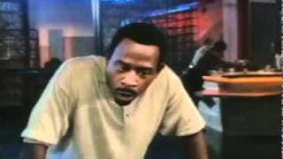 A Thin Line Between Love and Hate Trailer (1996)