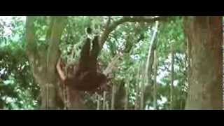 Choy Lee Fut Kung Fu (1979).