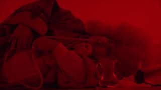 Roi Soleil by Albert Serra (Trailer)