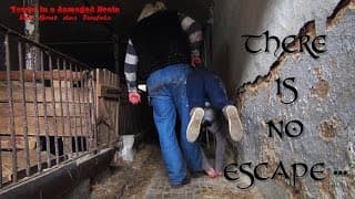 Terror in a damaged Brain - Die Brut des Teufels (2nd Trailer - The Freaks)