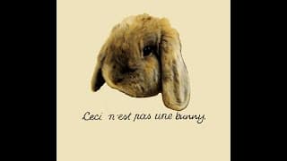 Bunny