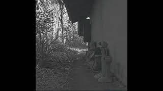 The handsaw murder #horror #music #edit