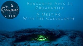 Gombessa I - Rencontre avec le Coelacanthe - Ep18