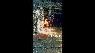 Buddha Flame