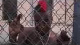 Miles From Home *TRAILER*