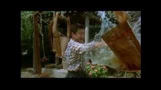 Drunken Monkey - Trailer, englisch