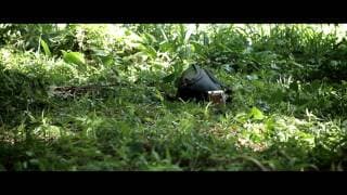 Peter and the Colossus official trailer 2
