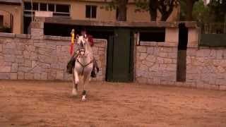Horse of Kings, Thief of Hearts, The Carthusian Horse