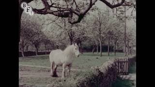 East of the Malverns (1957) | BFI National Archive