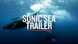Sonic Sea — Trailer
