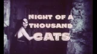 NIGHT OF A THOUSAND CATS - (1972) Trailer