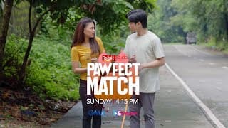 REGAL STUDIO Presents PAWFECT MATCH Teaser | Sunday on GMA | Regal Entertainment Inc.