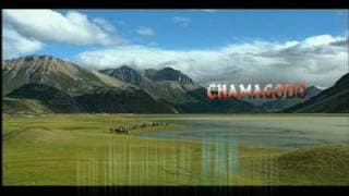 Chamagodo - Asian Corridor In Heaven
