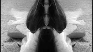 Nicolas Provost - Papillon d'amour