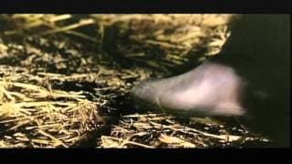 Killer Calibre 32 (1967) Trailer
