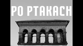 Po Ptakach (After The Birds)